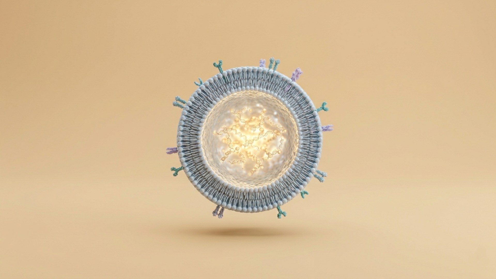 Eksozom, hücreler arası iletişim kuran onarıcı mikro keseciklerdir.